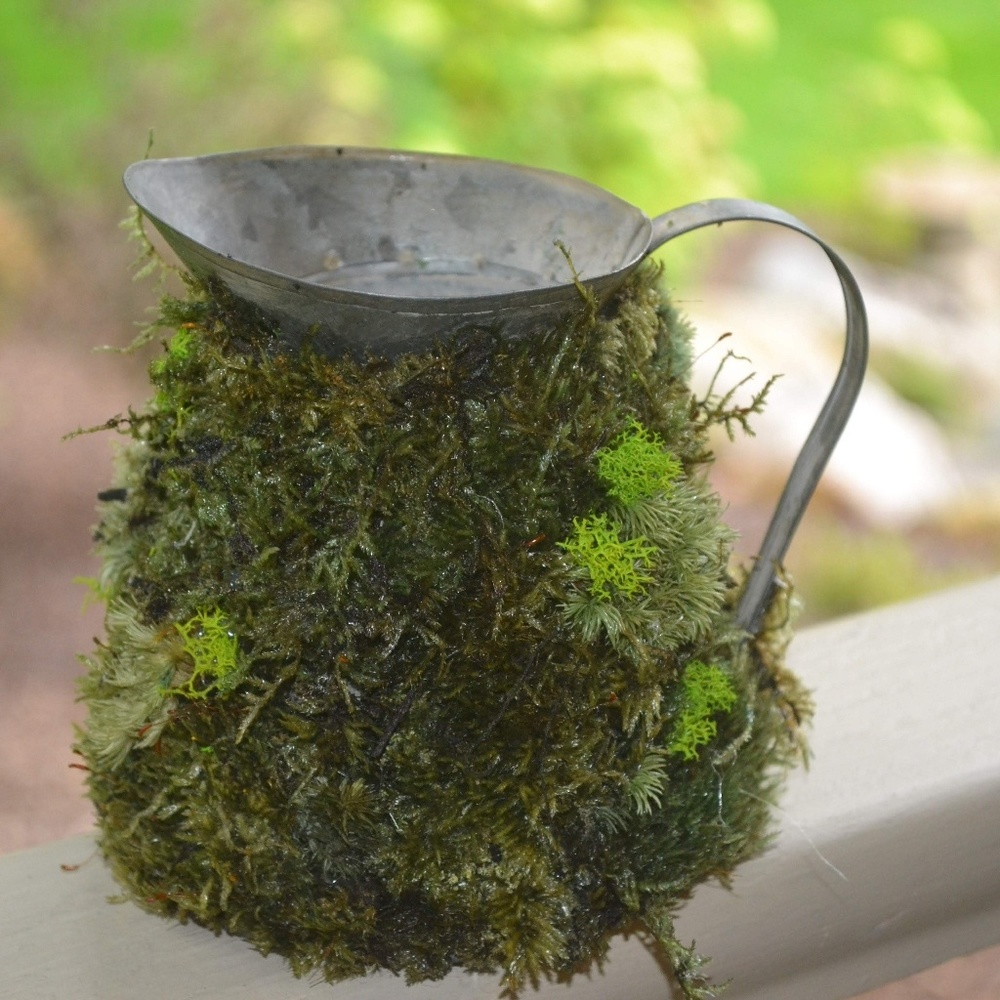 Preserved Moss Covered Tin